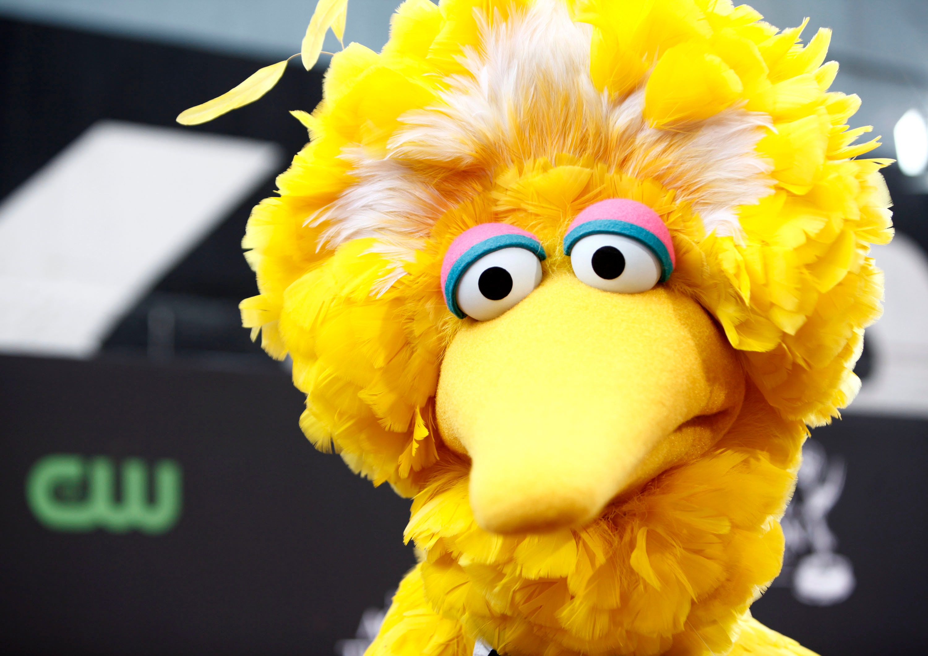 Big Bird Ad By Obama Campaign is No Laughing Matter to PBS | Fox News