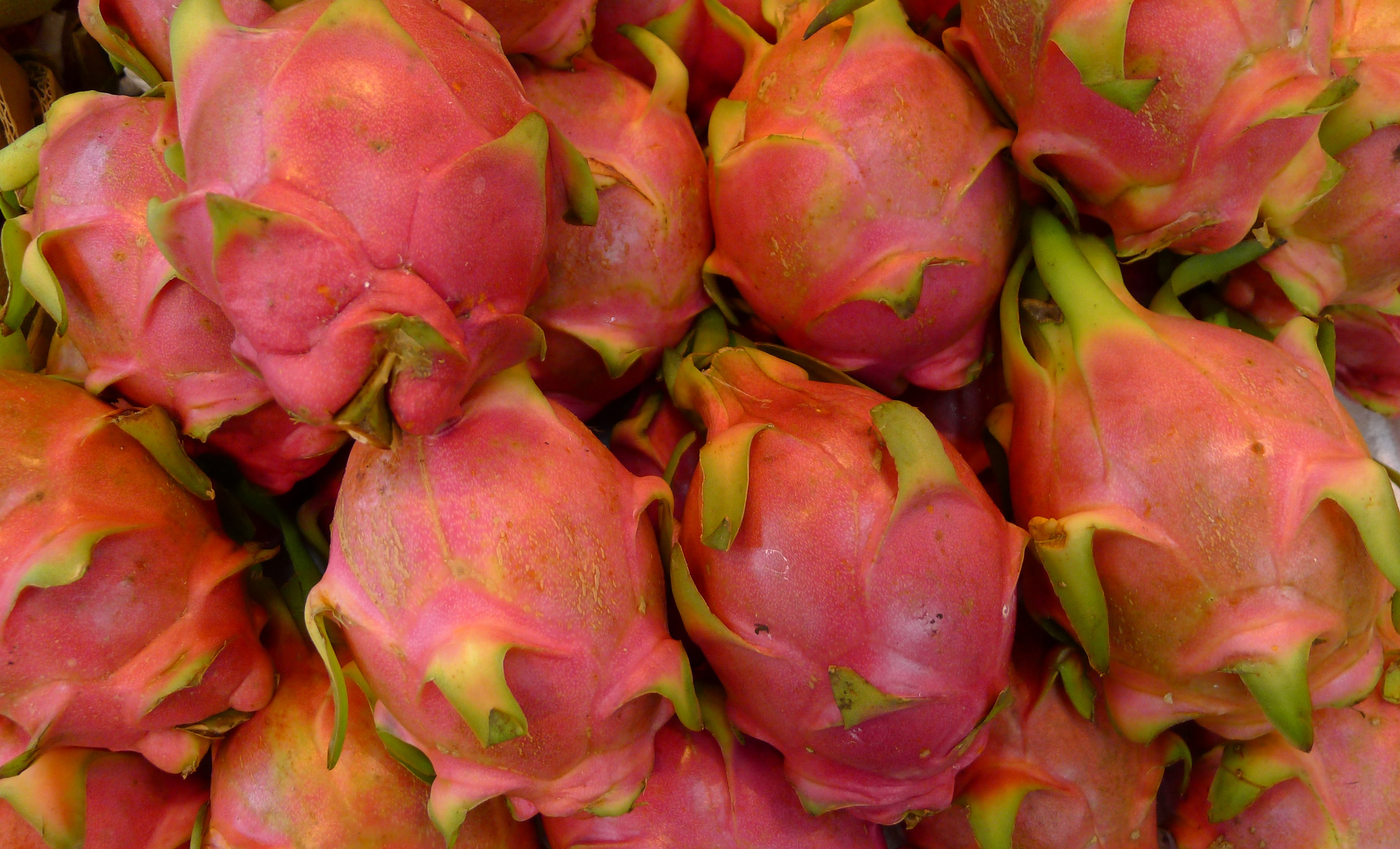 Dragon Fruit (Red)