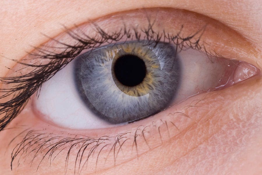 Как выглядит серый цвет глаз Nearsighted kids may get worse in winter Fox News
