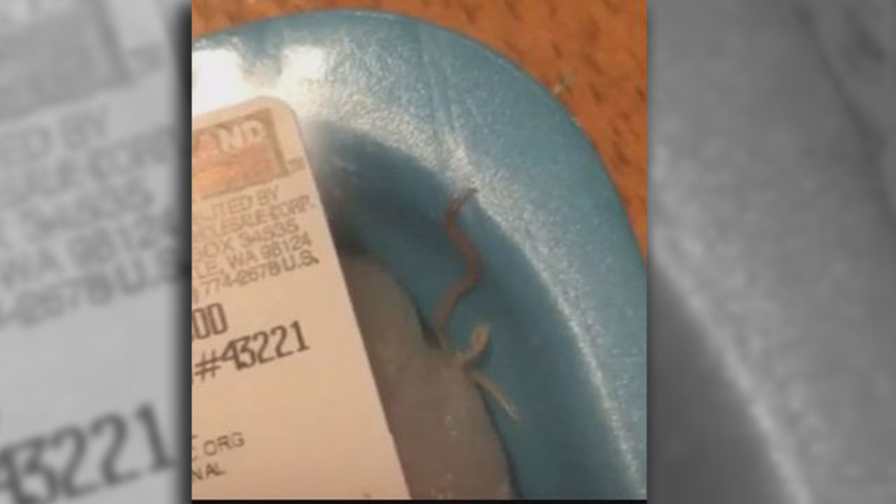 A family from California found live worms in fish bought at Costco -  ForumDaily