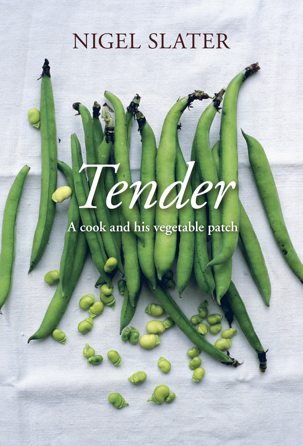 Tenderveg