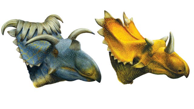 【新品未開封】TRICERATOPS/GOING TO THE MOON TRICERATOPS / GOING TO THE MOON #TRICERATOPS - YouTube
