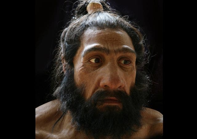 Your Ancestor, the Caveman