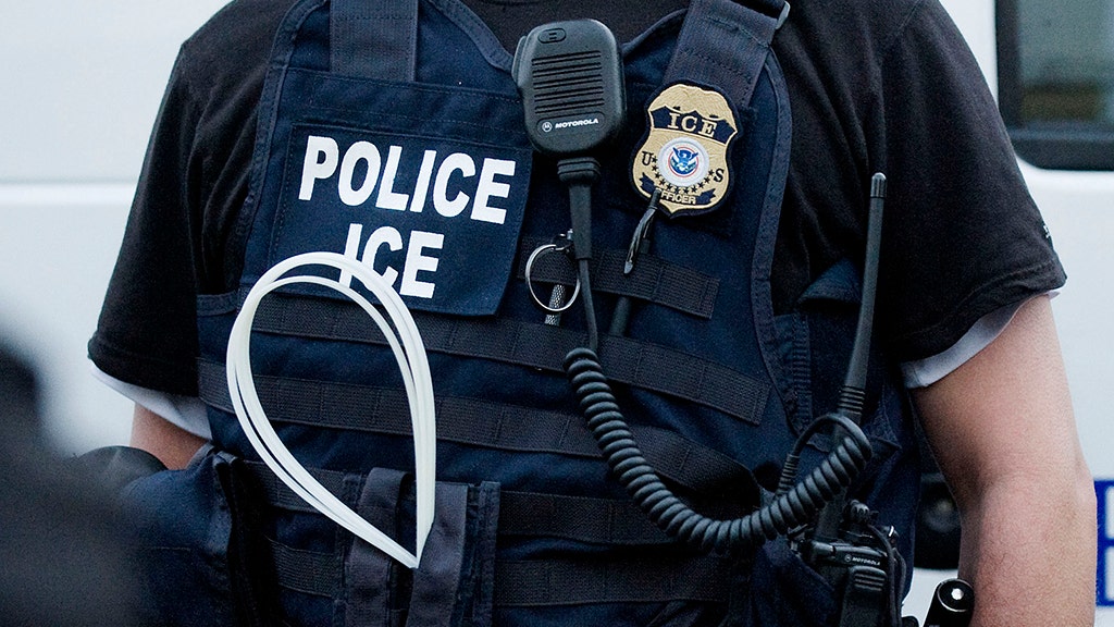 News :LexisNexis faces pressure to terminate contract with ICE