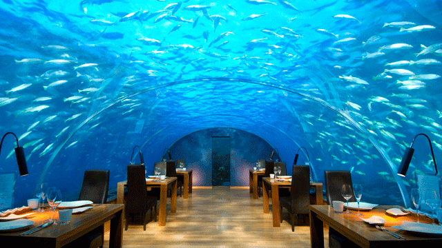 IthaaUndersRest3_emailable