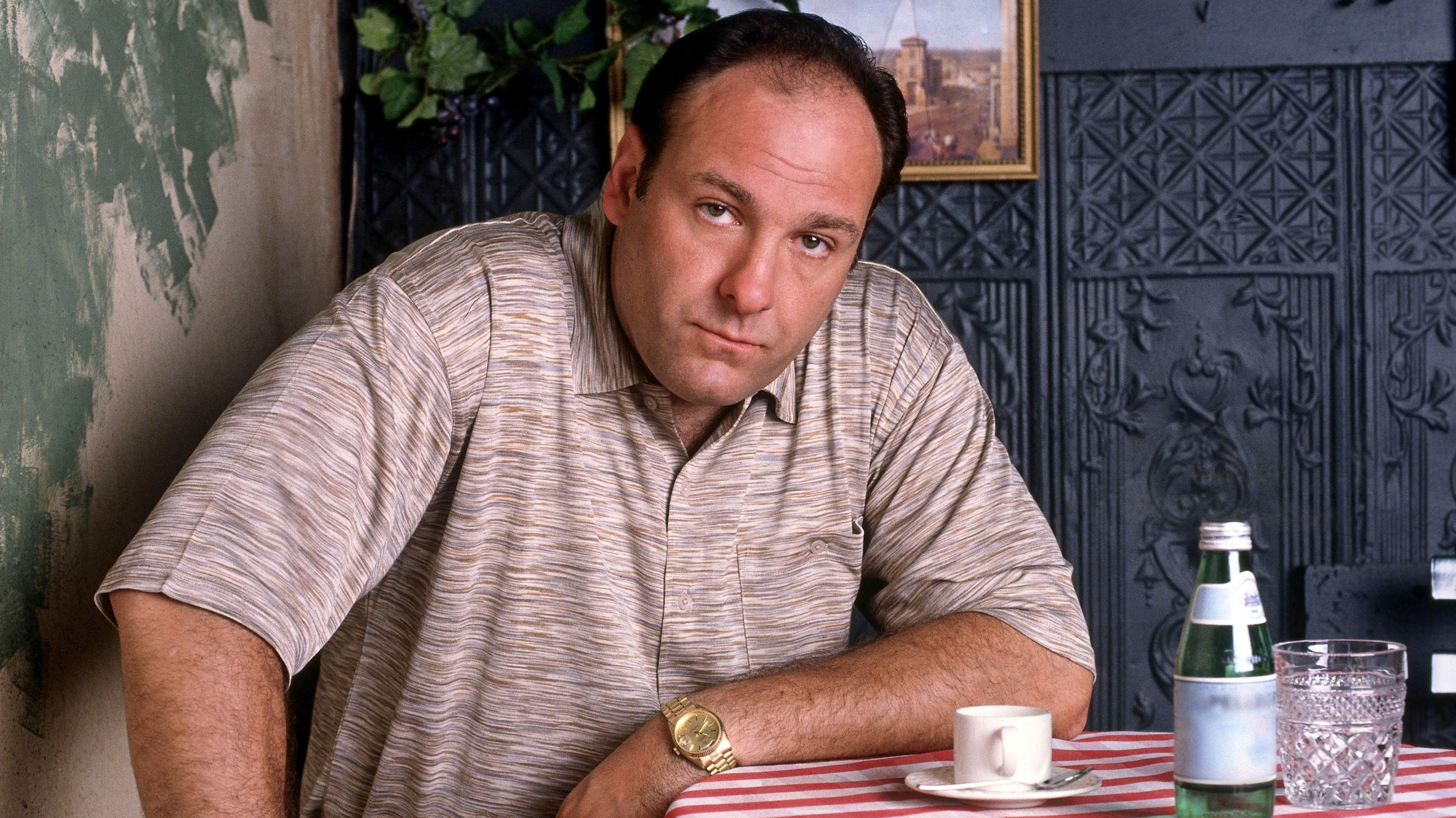 James Gandolfini was 'hungover' during 'Sopranos' fight scene, says co-star Robert Patrick