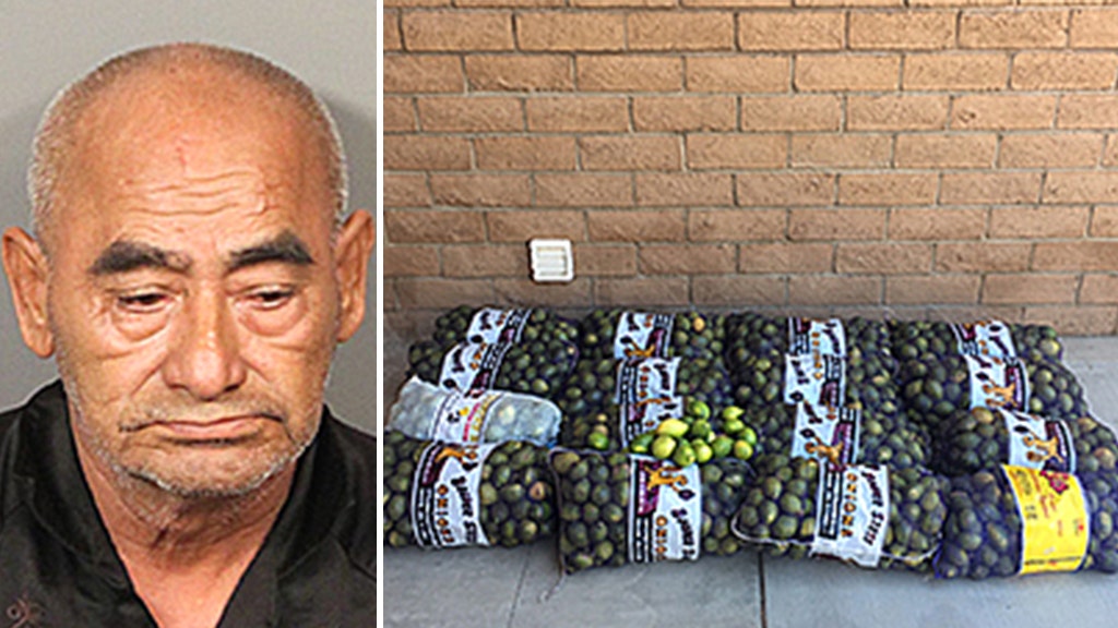 Striking a sour note California man arrested with 800 pounds of stolen lemons, cops say Fox News