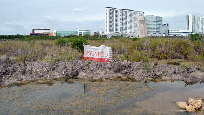 Pengadilan Meksiko melarang pembangunan properti di dekat hutan bakau Cancun