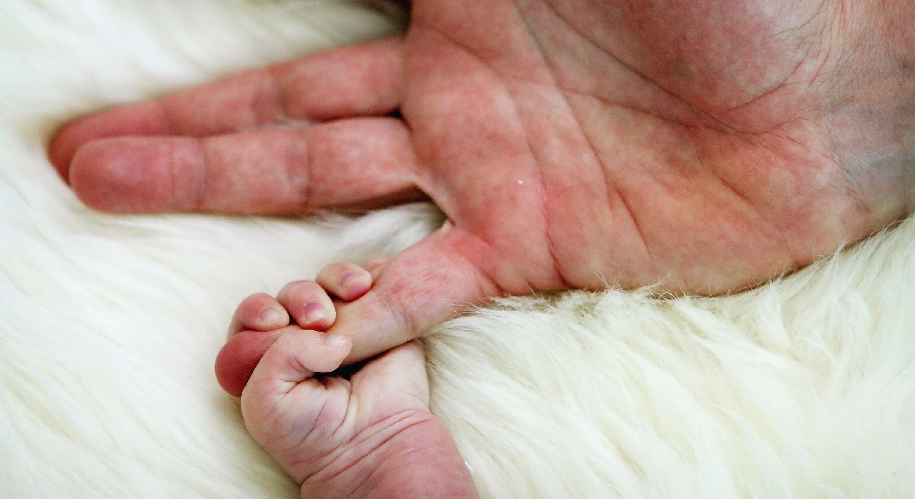 Baby Found Alive After 12 Hours in Argentine Morgue | Fox News