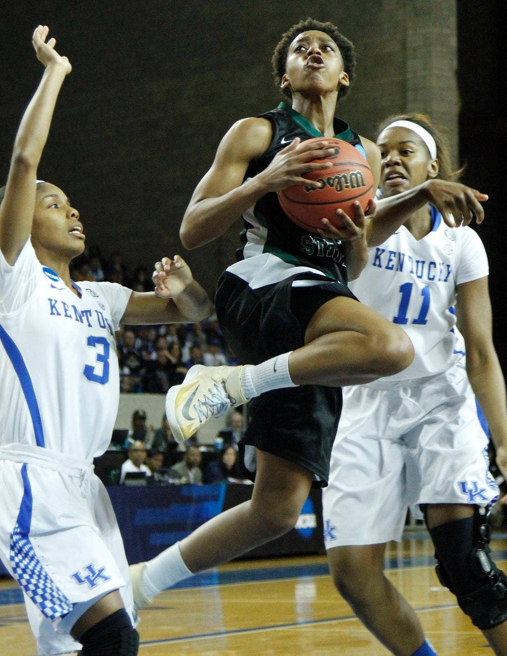 Kentucky Roll Past Wright State 106-60 dalam tampilan NCAA pertama Raiders