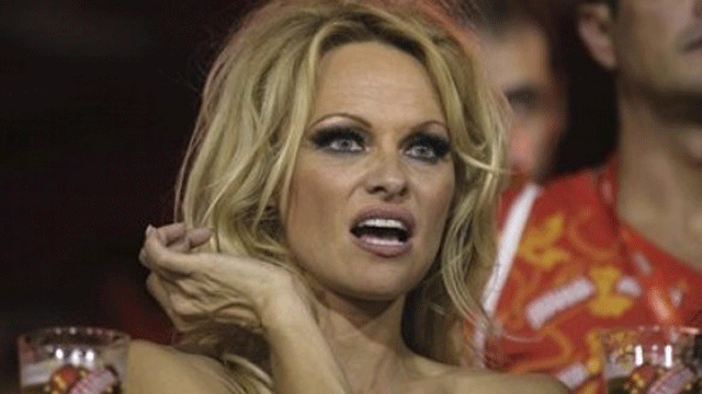 Pamela Anderson is being countersued by her ex-boyfriend for $22.5 million.