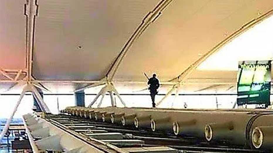 Cat misses flight after escaping carrier at John F. Kennedy