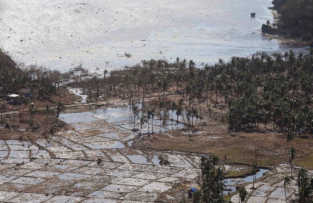 Filipina berupaya memperluas cakupan asuransi bagi petani ketika terjadi bencana alam