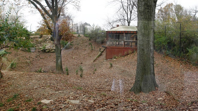 Boy,2, bled to death from wild dog mauling at Pittsburgh Zoo, medical