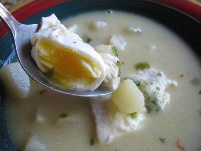 Potato and Cheese Chowder Soup