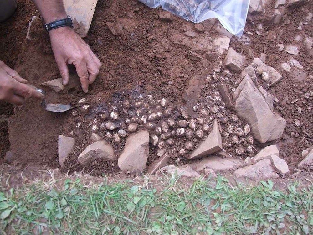 Roman bullets tell story of 1,800-year-old attack on Scottish fort