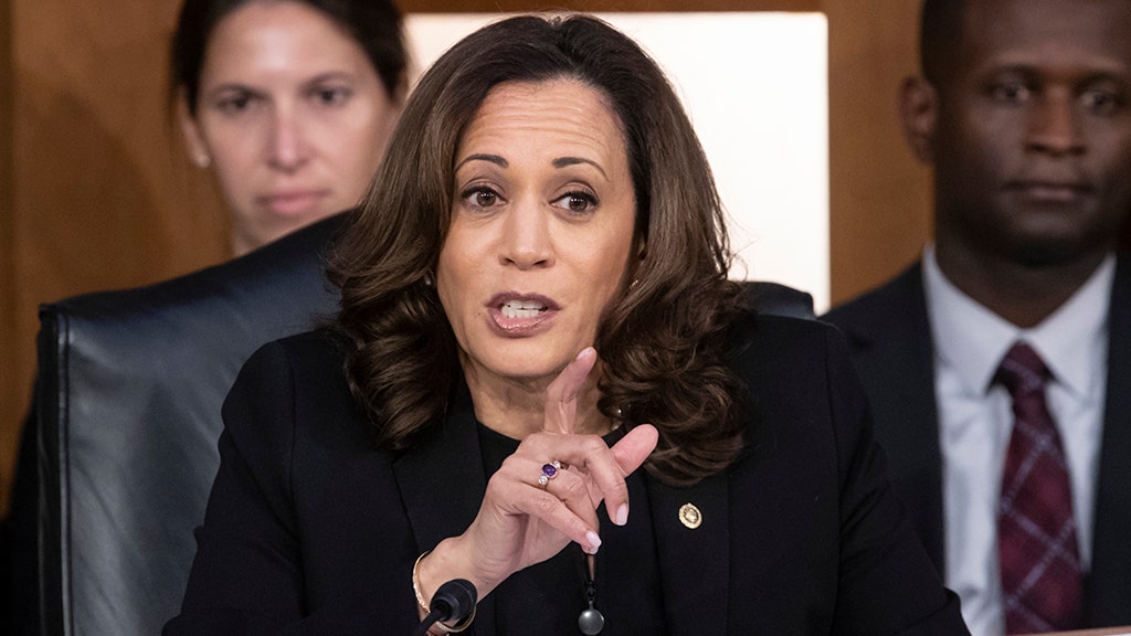 Biden now calls filibuster ‘a relic of the Jim Crow era’ but Kamala Harris is among Dems who have embraced it