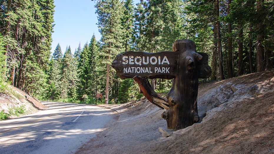 Two hikers found dead in Sequoia National Park | Fox News