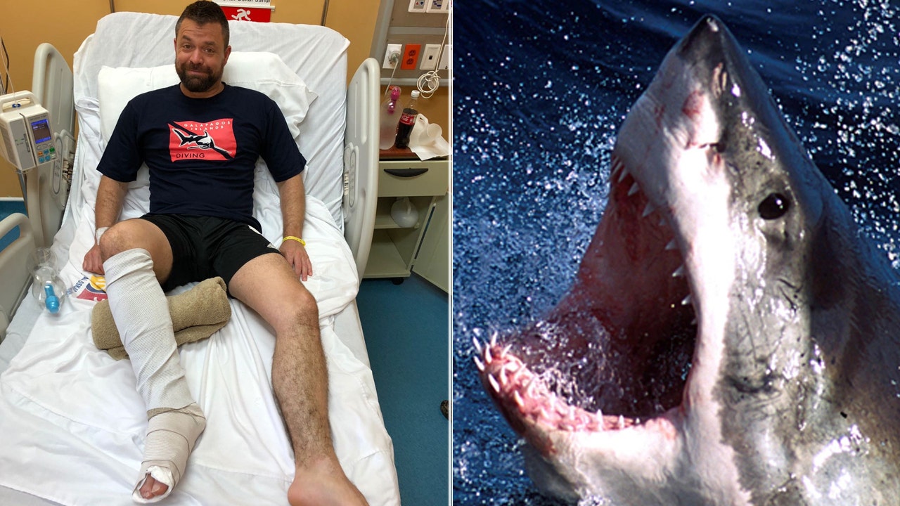Warning Graphic Content Man Punches Shark That Was Mauling His Foot