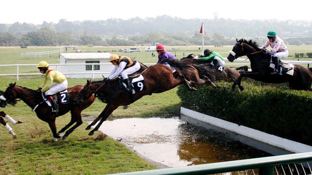 Race horse steeplechase falling jockey during holloway paul win going shows video running taken foxnews