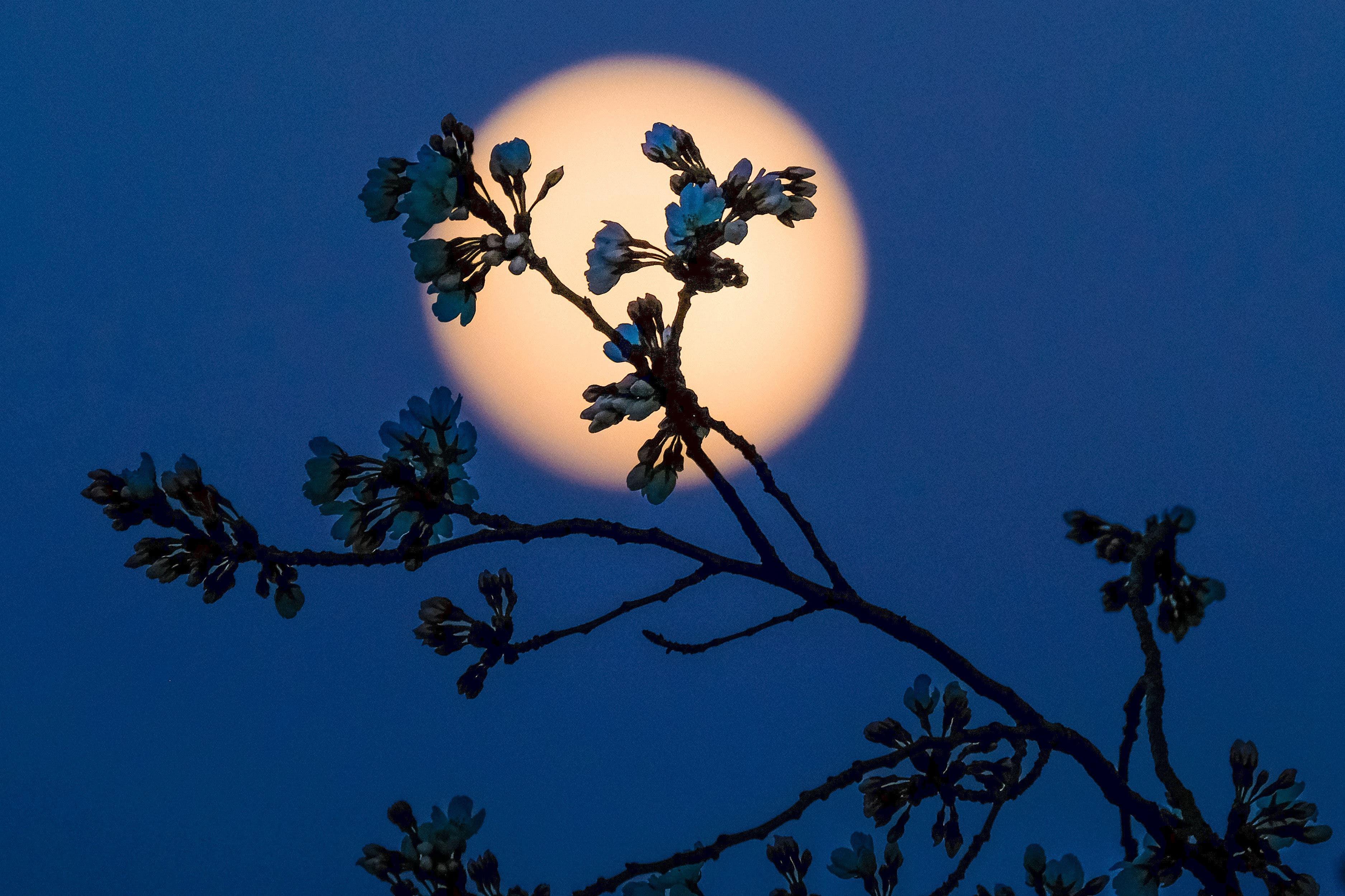 The moon once looked different from Earth