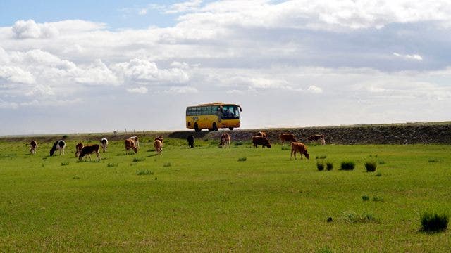 Bus wisata memasuki Mongolia Dalam