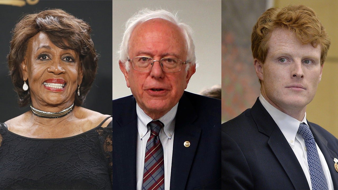 In abundant democratic responses to state of the union a media