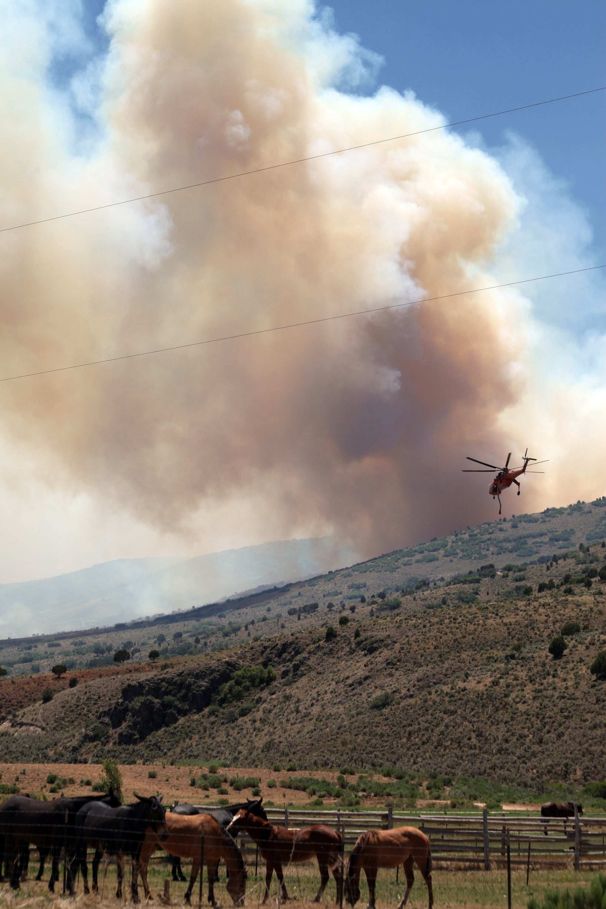 Report Arcing power lines caused Utah wildfire Fox News