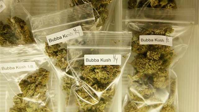 Record Pot Bust Up in Smoke