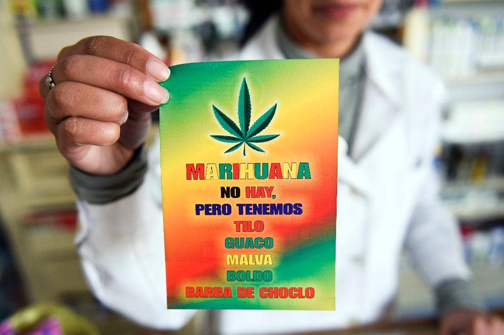 Ganja bisa dijual di apotek Uruguay, tapi hanya sedikit yang mau