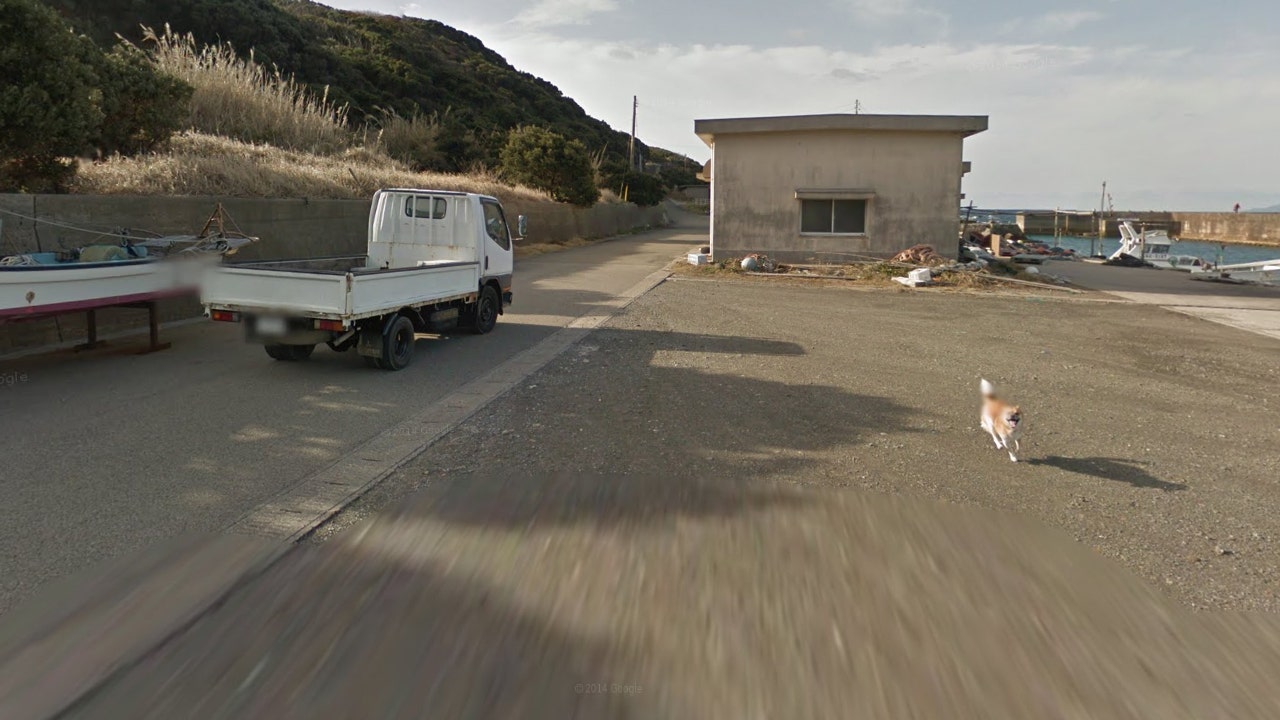 Dog becomes star on Google Maps after chasing Street View vehicle down ...