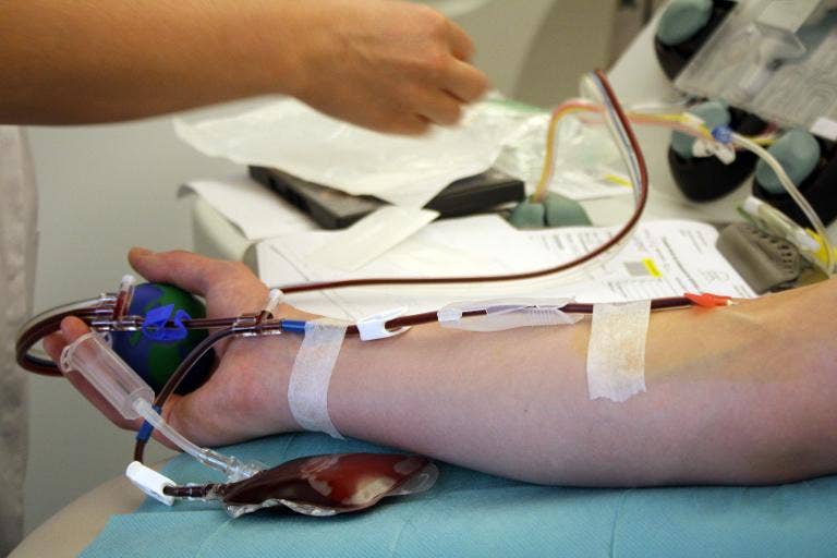 Australian Jehovah's Witness loses bid to refuse blood | Fox News