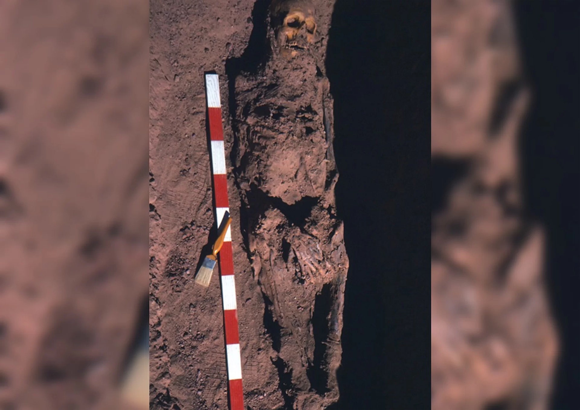 Ancient Egypt burials show traces of cancer