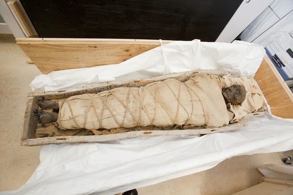 Ancient Egyptian mummy found with brain, no heart