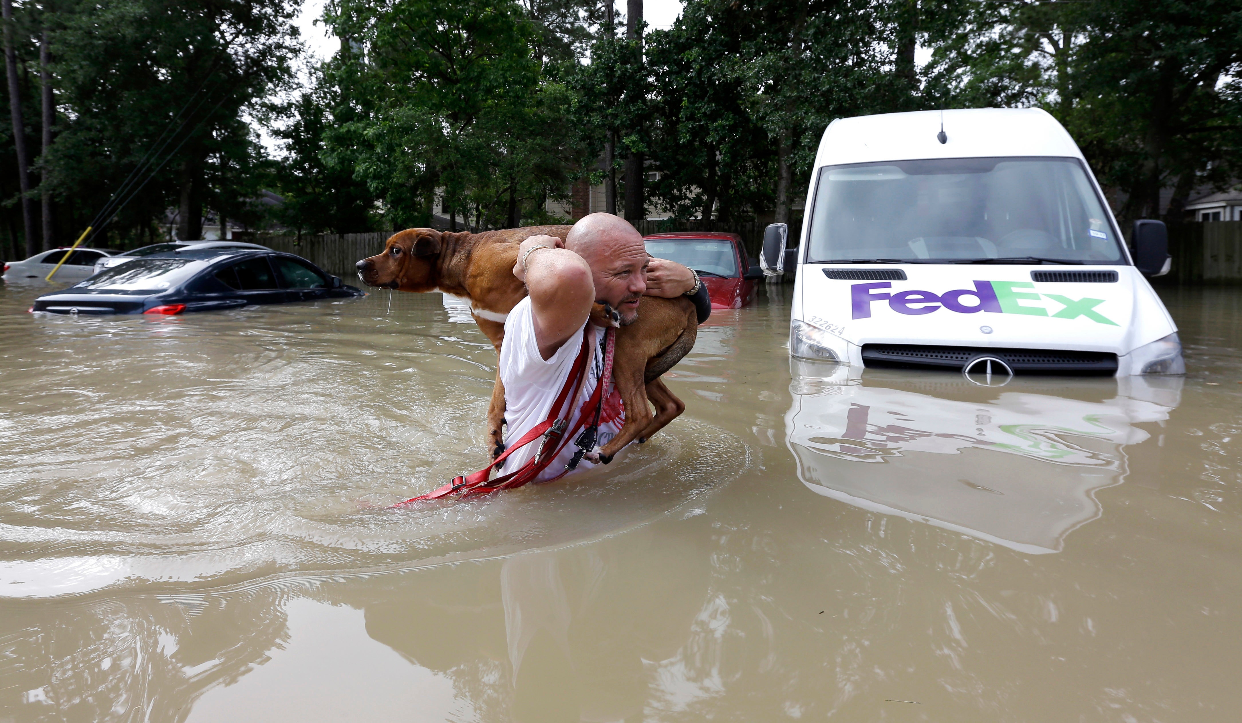 Eighth Person Reported Dead In Widespread Texas Flooding Fox News