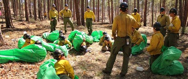 Kebakaran Arizona: badai angin membuat api tidak terkendali