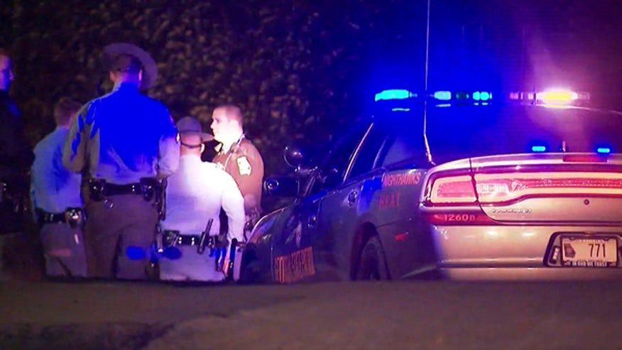 Teen arrested after ramming into cop's car during traffic stop | Fox News