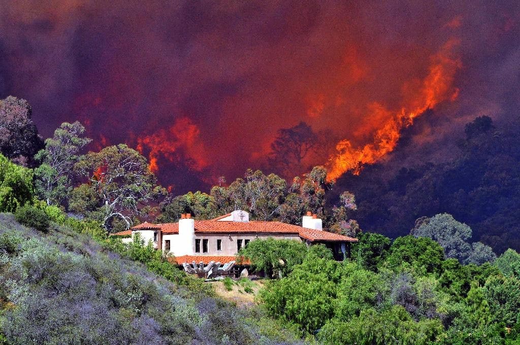 Penelitian menemukan penyebab sebagian besar kebakaran hutan di Amerika disebabkan oleh manusia