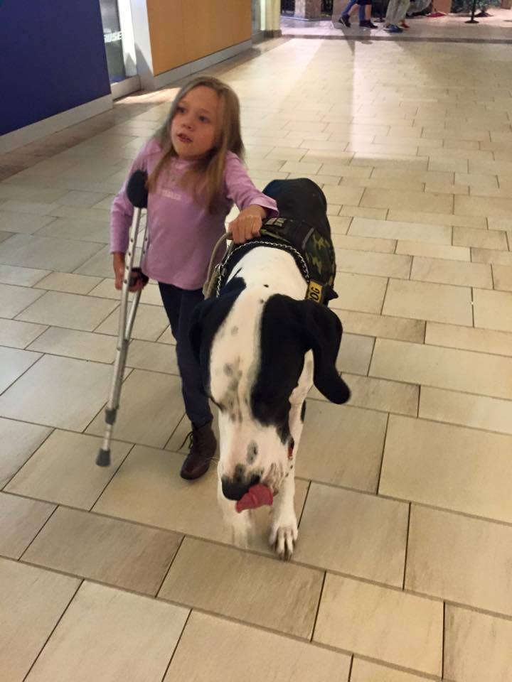 ‘Hebat’ Dane: Anjing seberat 131 pon membantu anak berusia 11 tahun dengan kondisi genetik langka