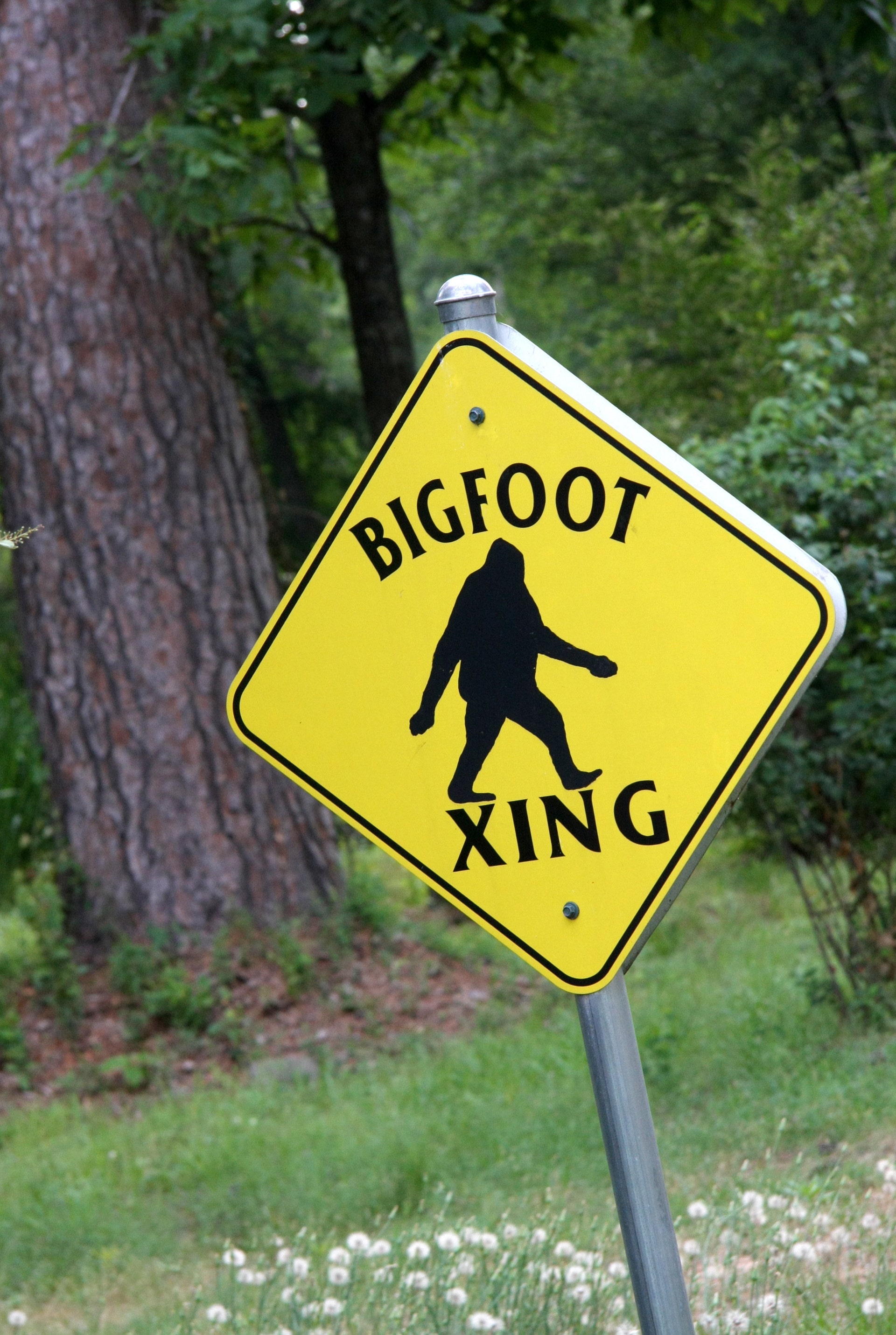 FOX NEWS 2 Men Claim Bigfoot Sighting In Ohio Video Goes Viral   Bigfootsign 