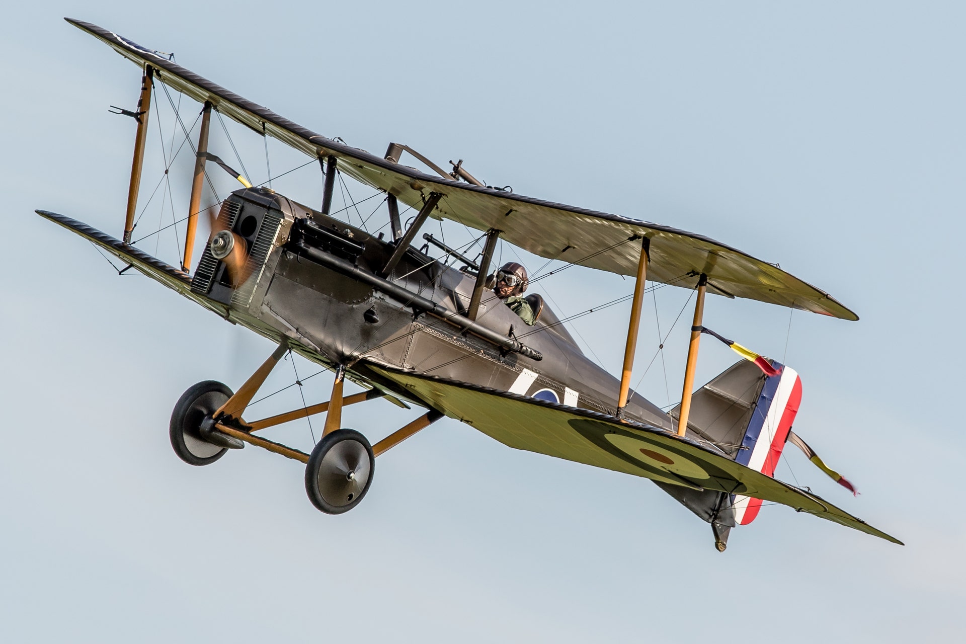 World War 1 Airplanes 3 Thousand World War 1 Planes Royalty Free World War 1 Airplanes 3 Thousand World War 1 Planes Royalty Free