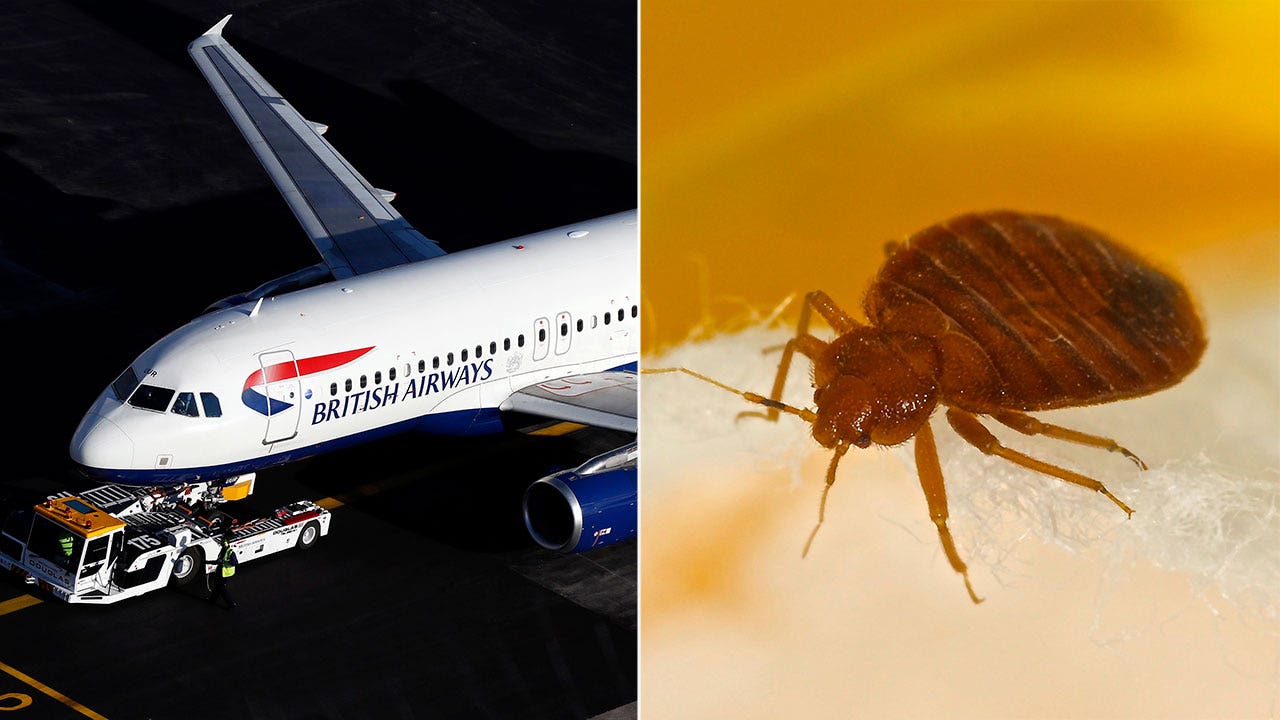 British Airways Flight Grounded After Bedbugs Were Seen 'crawling Over ...