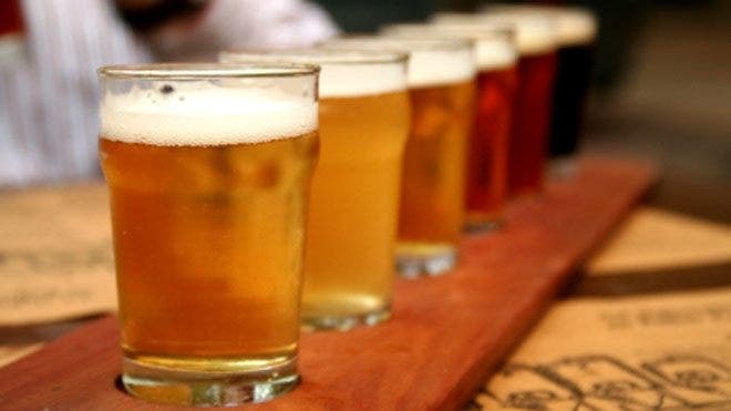 10 Bir Musim Gugur Terbaik | Berita Rubah