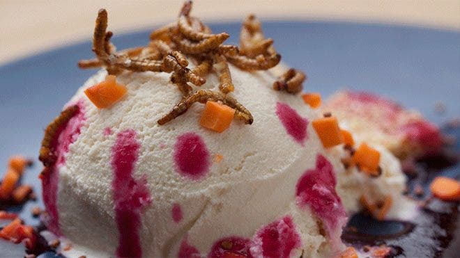 Eating bugs may be on the rise, but artful preparation is still required