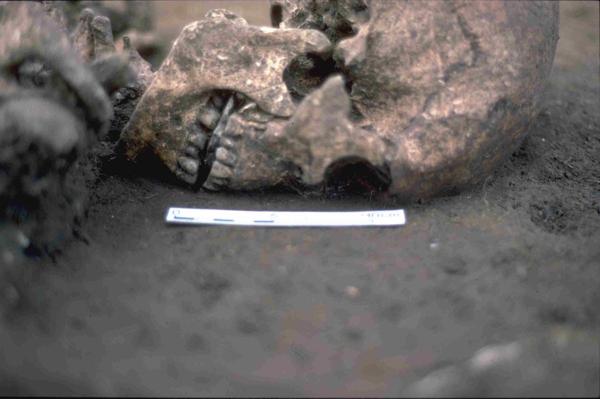 Grisly find: Roman-era man may have had tongue cut out