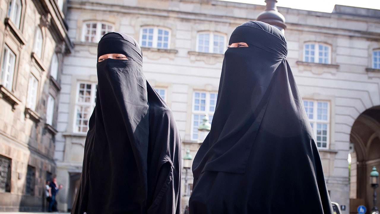 Denmark fines woman $156 for wearing face veil after banning burqa ...