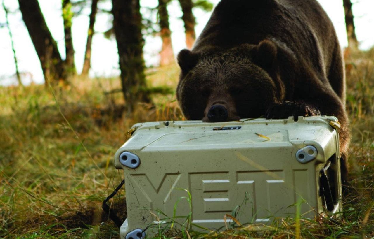 Yeti and cheap nra statement