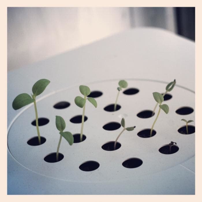 Kami mencobanya: Klik dan kembangkan