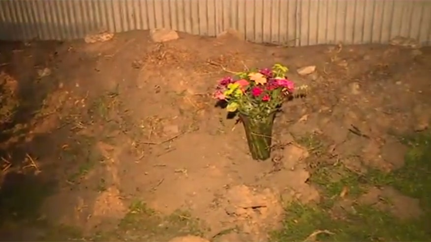 Pack of stray dogs mauls California woman to death, police say | Fox News