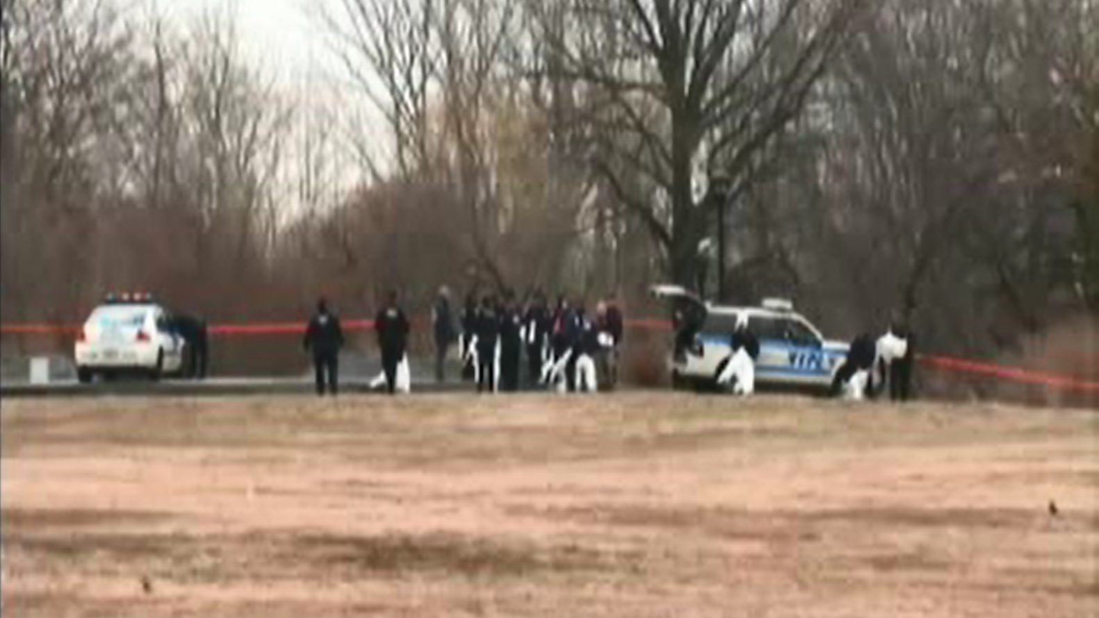 Dismembered body found scattered in New York City park ID'd as 26-year ...